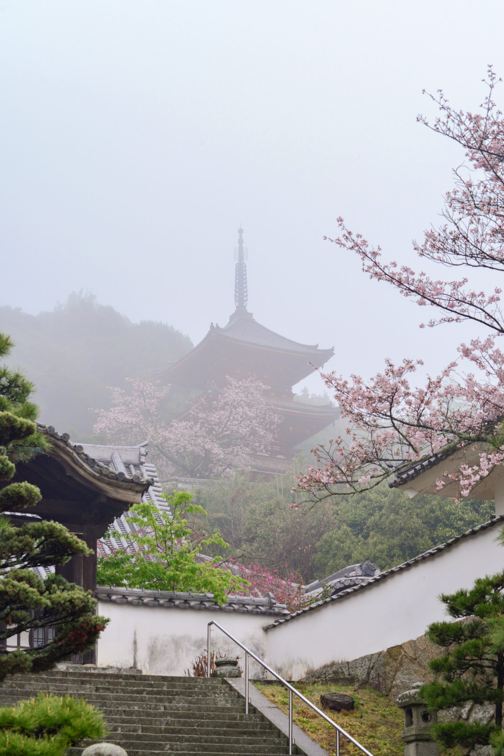 不動護摩祈祷会　4月8日14時より　不動堂にて